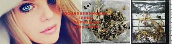 PSILOCYBIN Мегион