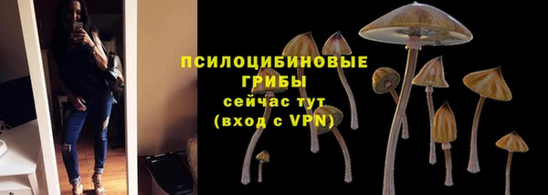 спайс Медвежьегорск