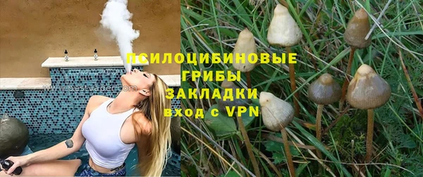 альфа пвп Медногорск