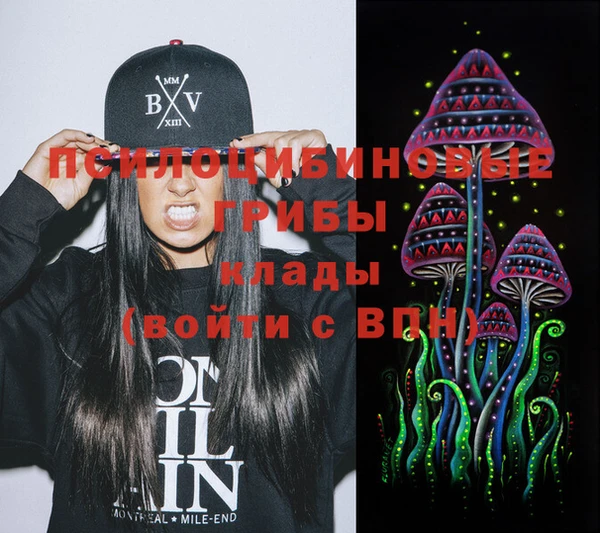 PSILOCYBIN Мегион